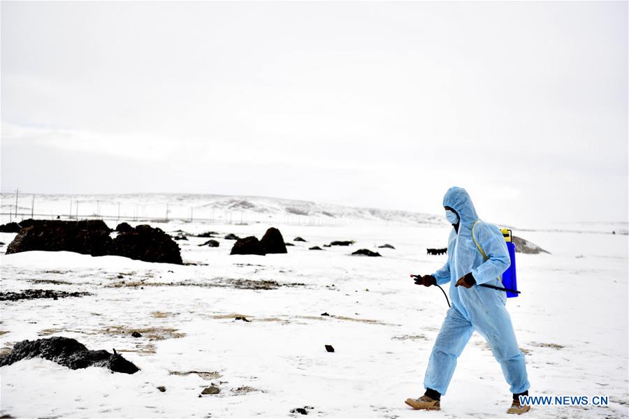 CHINA-QINGHAI-YUSHU-BLIZZARD (CN)