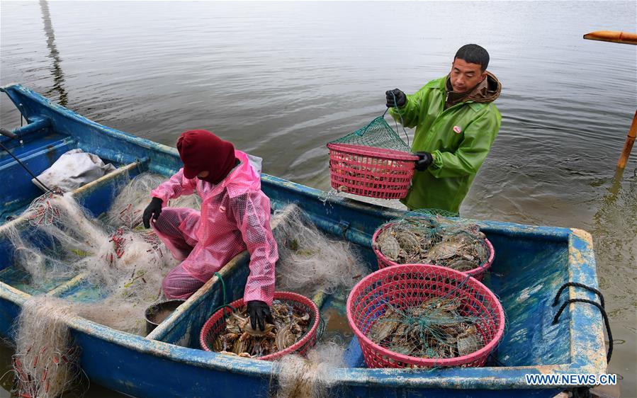 CHINA-FUJIAN-PUTIAN-MARICULTURE(CN)