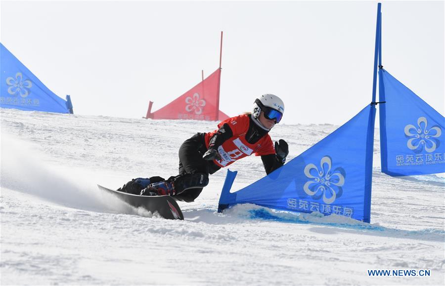 (SP)CHINA-HEBEI-ZHANGJIAKOU-FIS SNOWBOARD-PARALLEL SLALOM(CN)