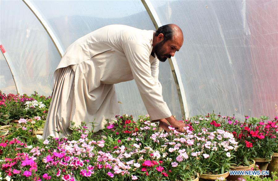 AFGHANISTAN-KANDAHAR-FLOWER SHOP