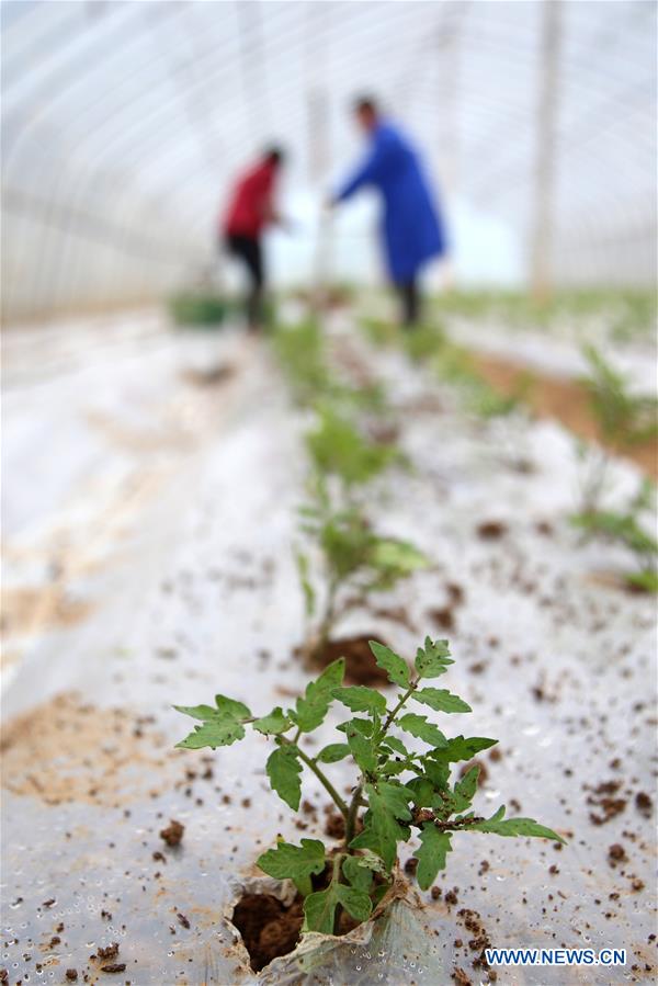 #CHINA-SPRING-FARMING (CN)