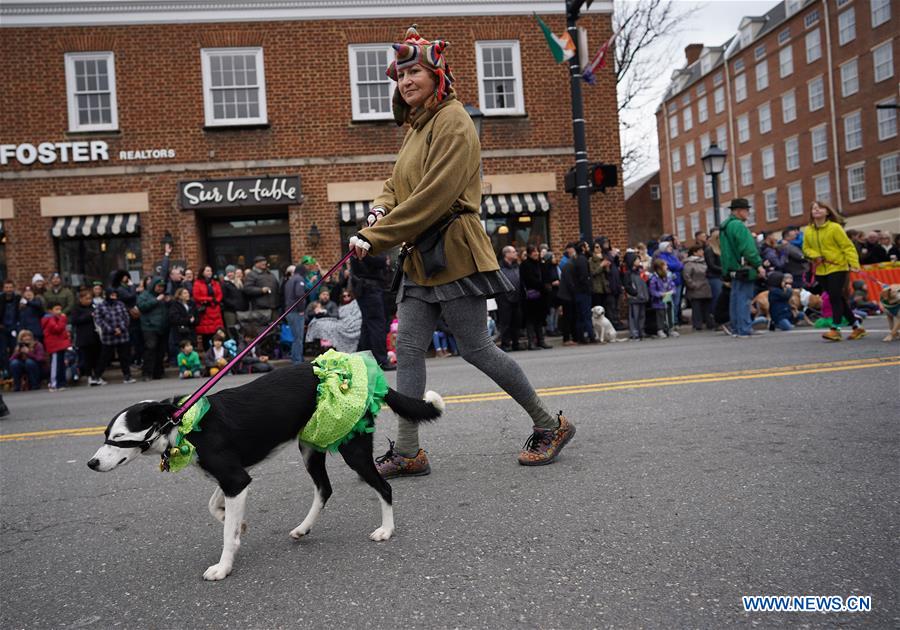 U.S.-VIRGINIA-ST. PATRICK'S DAY-PARADE