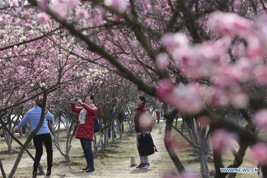 #CHINA-SPRING-FLOWERS (CN)