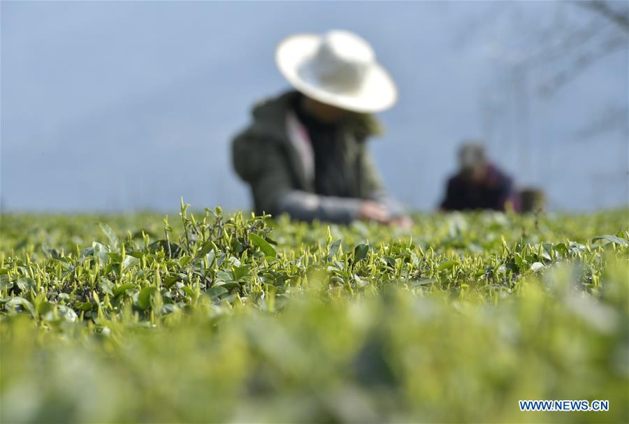 #CHINA-SPRING-FARMING (CN)