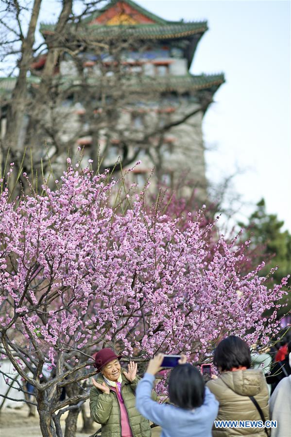 CHINA-BEIJING-SPRING-SCENERY (CN)