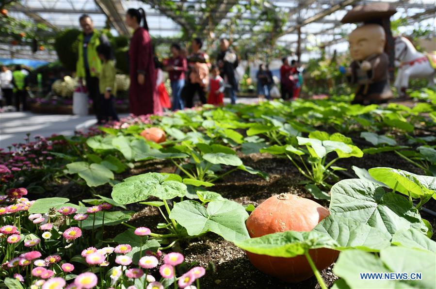 CHINA-BEIJING-AGRICULTURE CARNIVAL-OPEN (CN)