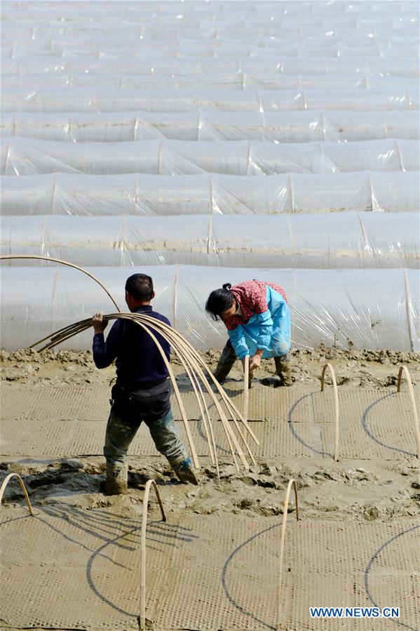 #CHINA-HUNAN-SPRING-FARMING (CN)