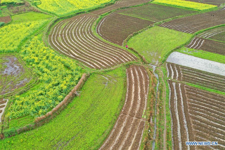 #CHINA-HUNAN-SPRING-FARMING (CN)