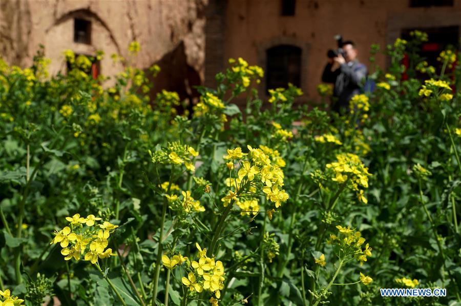 CHINA-HENAN-LUONING-SPRING SCENERY (CN)