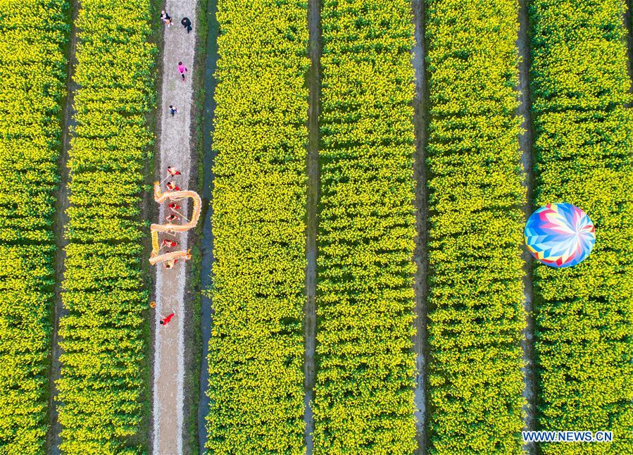 ZHEJIANG-HUZHOU-COLE FLOWER-TOURISM FESTIVAL (CN)