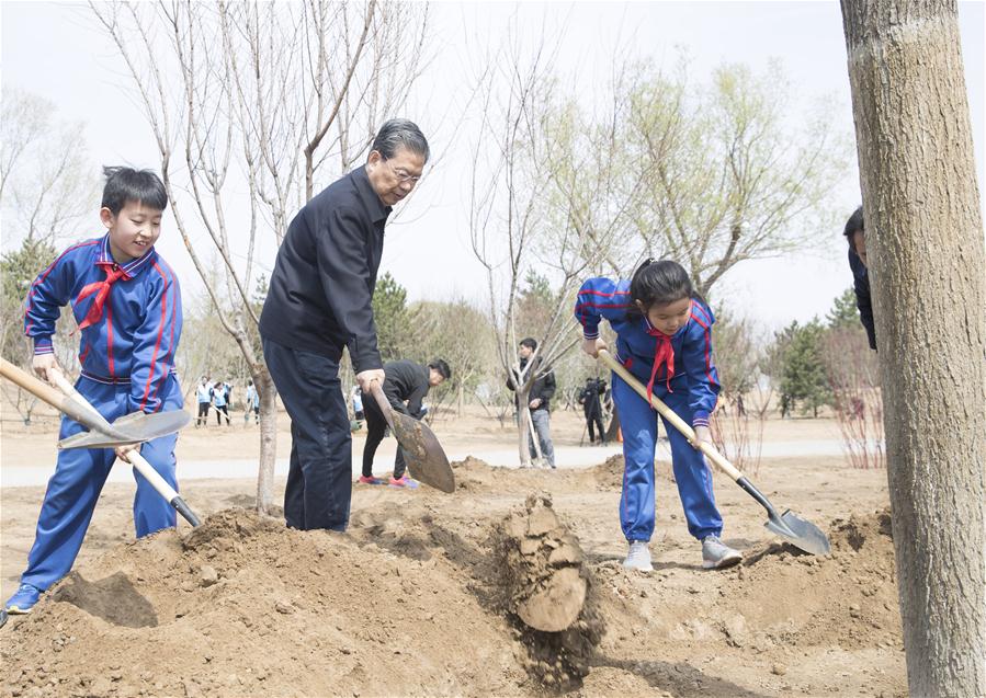 CHINA-BEIJING-LEADERS-TREE PLANTING (CN)