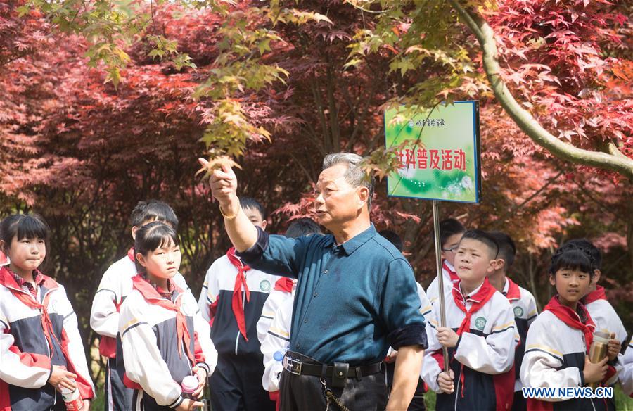 CHINA-ZHEJIANG-RED MAPLE (CN)