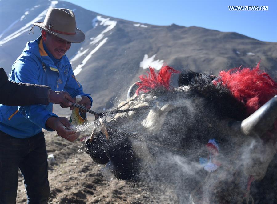 CHINA-TIBET-XIGAZE-FARMING (CN)