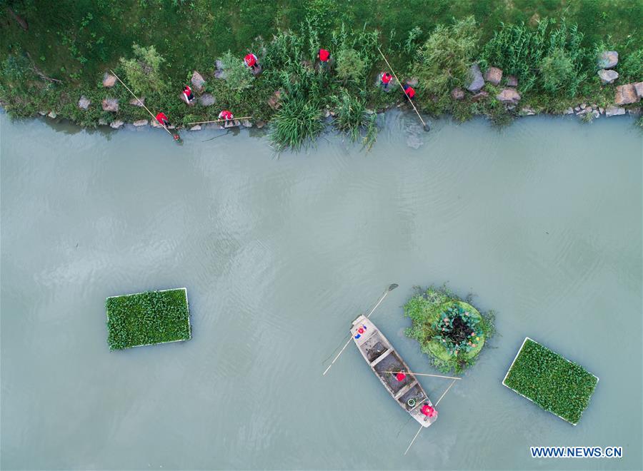 Xinhua Headlines: Chinese experience inspires world's greening efforts