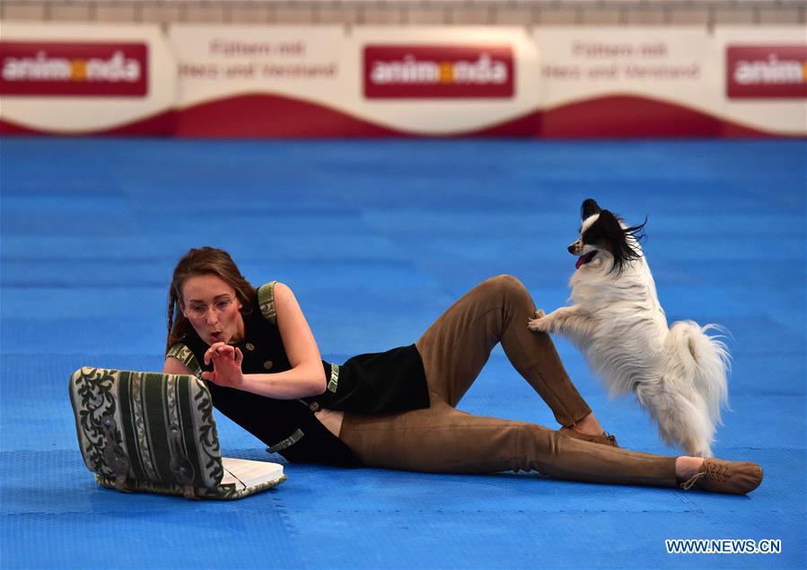 GERMANY-DORTMUND-DOG-CAT-EXHIBITION