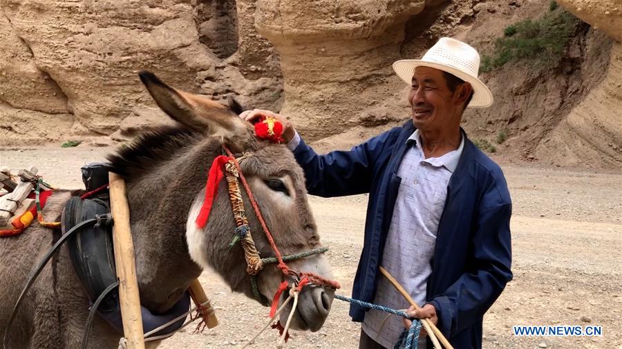 CHINA-GANSU-JINGTAI-DONKEY RIDE-BUSINESS (CN)