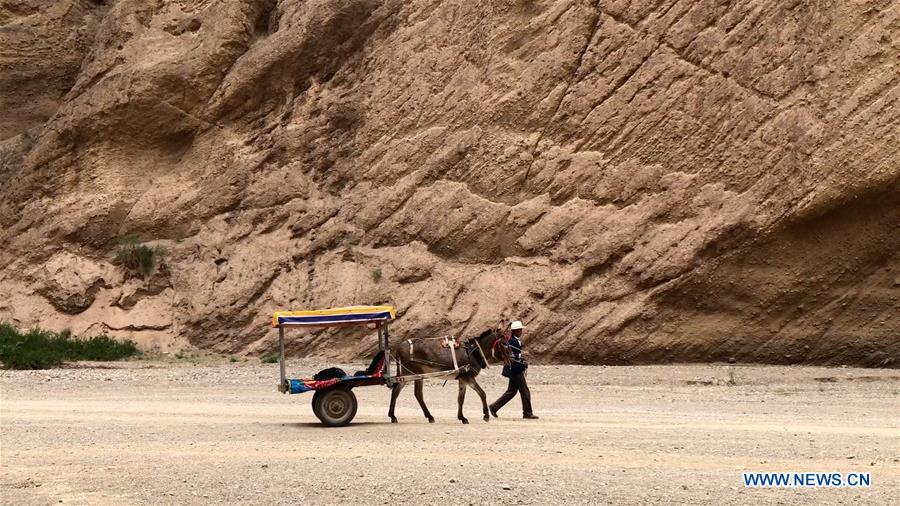 CHINA-GANSU-JINGTAI-DONKEY RIDE-BUSINESS (CN)