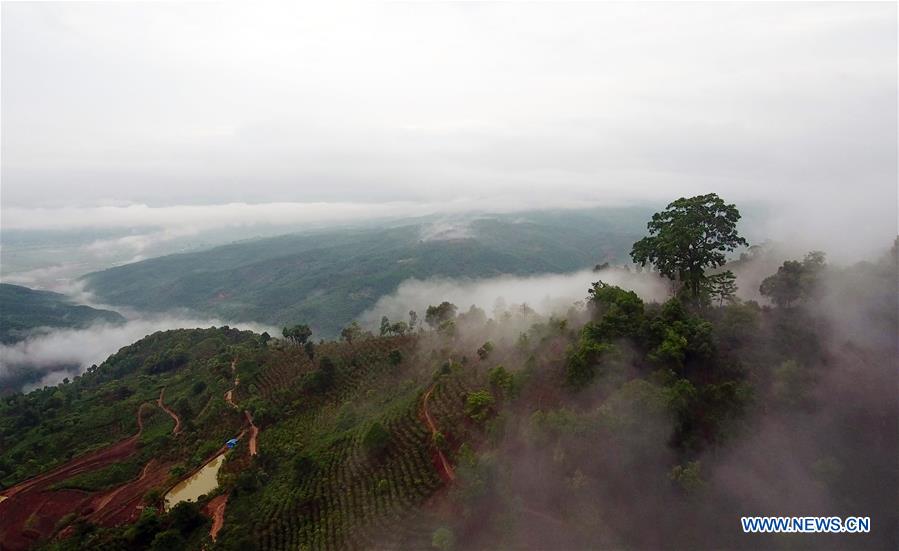 CHINA-YUNNAN-LANCANG-SCENERY AND TEA PLANTING (CN)