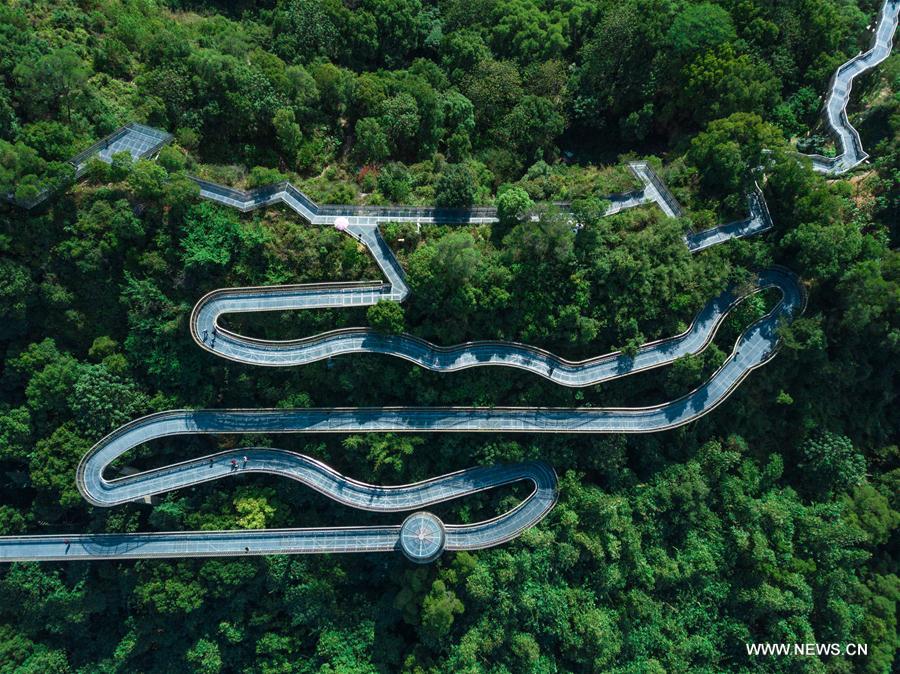 (EcoChina) CHINA-BEIJING-HORTICULTURAL EXPO-FUJIAN (CN)