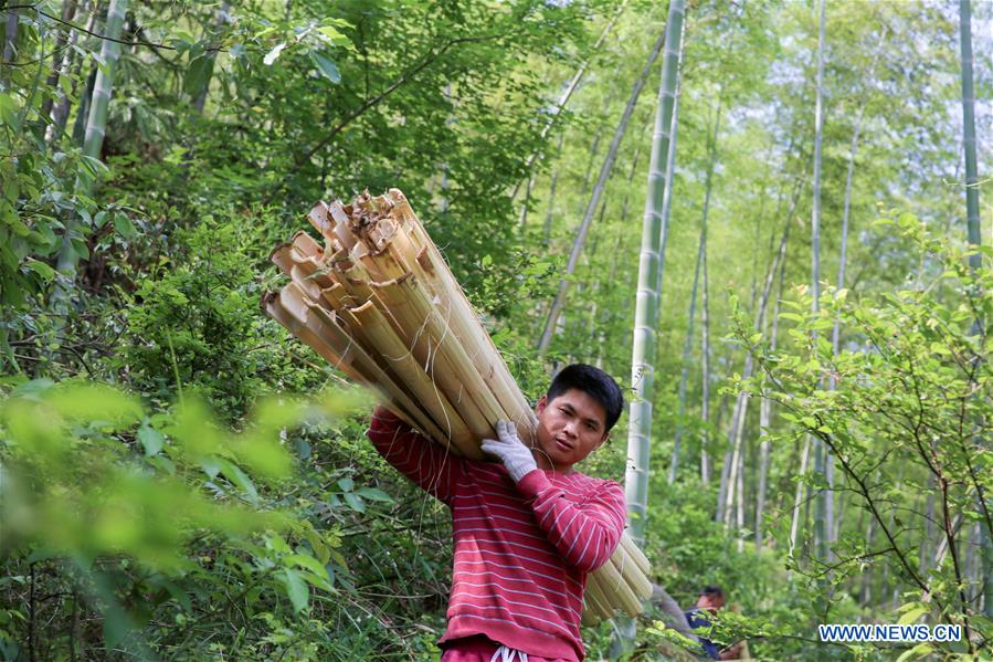 #CHINA-HUNAN-TANTOU-PAPERMAKING (CN)