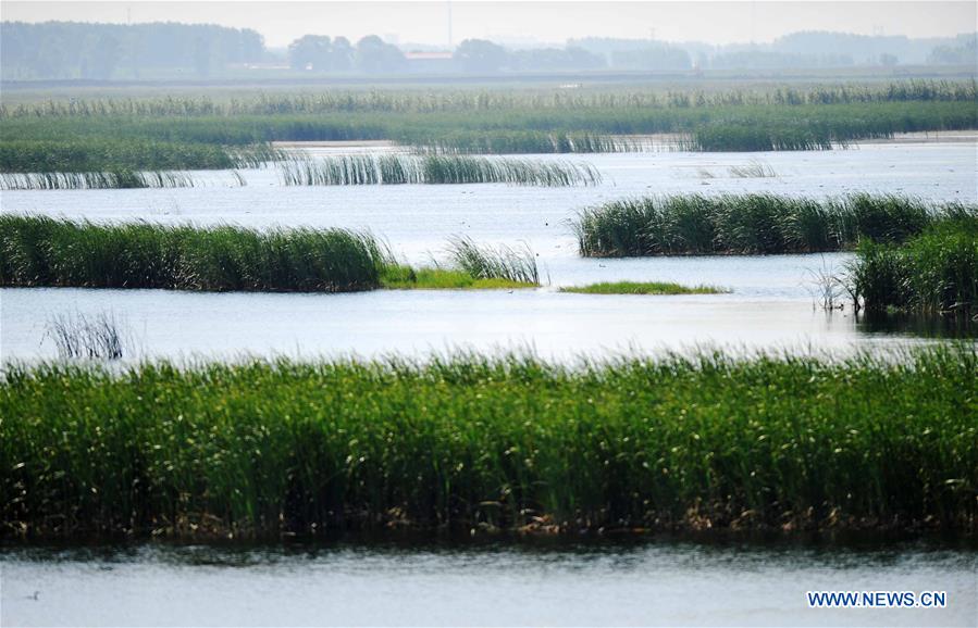 CHINA-HEILONGJIANG-WETLAND PROTECTION (CN)