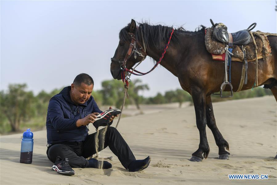 CHINA-XINJIANG-DESERT POPLAR-RANGER (CN)