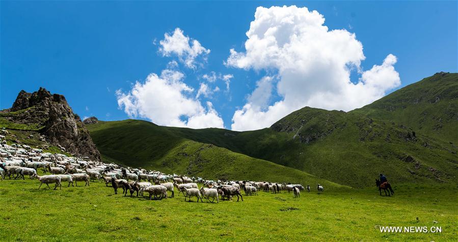 CHINA-QINGHAI-QILIAN-SCENERY (CN)