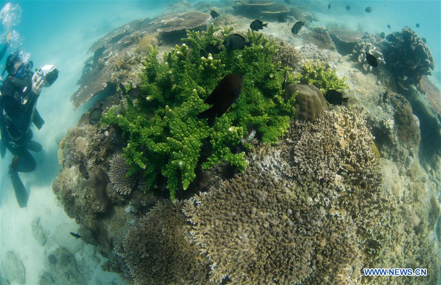 CHINA-HAINAN-BOUNDARY ISLAND-DIVING (CN)