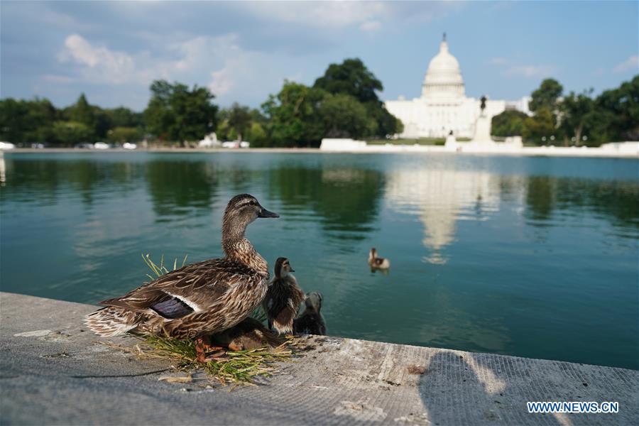 U.S.-WASHINGTON D.C.-HEAT WAVE