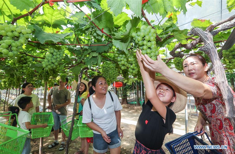 CHINA-ZHEJIANG-HANGZHOU-GRAPES-TOURISM (CN)