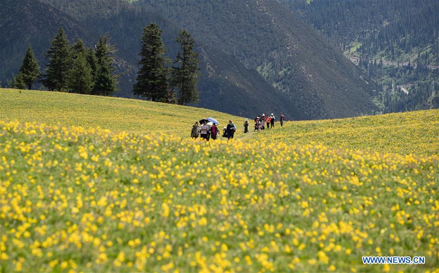 CHINA-SICHUAN-YAJIANG-SUMMER VIEW (CN)