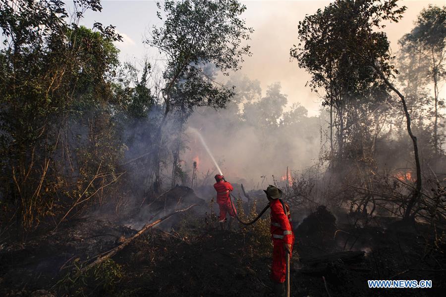 INDONESIA-SOUTH SUMATRA-FIRE