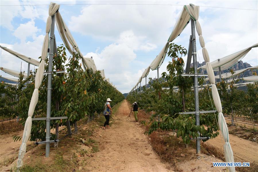 CHINA-SHANDONG-RIZHAO-ECOLOGICAL PARK-DEVELOPMENT (CN)