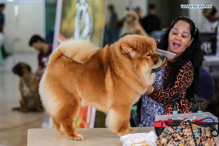 PHILIPPINES-MARIKINA CITY-DOG SHOW