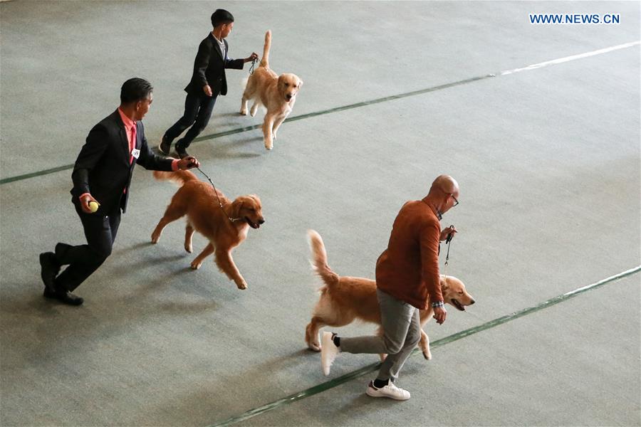 PHILIPPINES-MARIKINA CITY-DOG SHOW