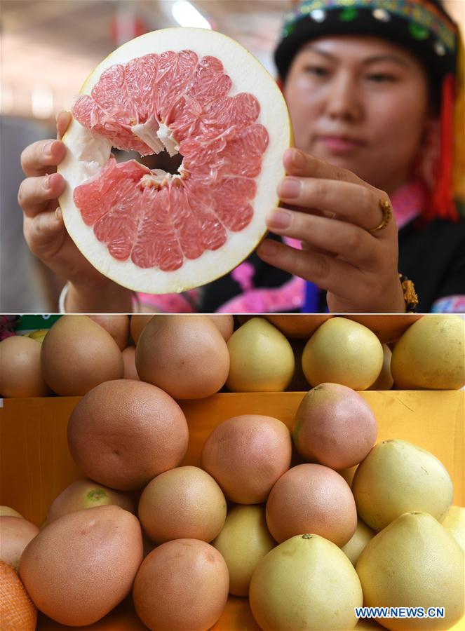 CHINA-GUANGXI-DU'AN-AGRICULTURAL PRODUCT-TRADE FAIR (CN)