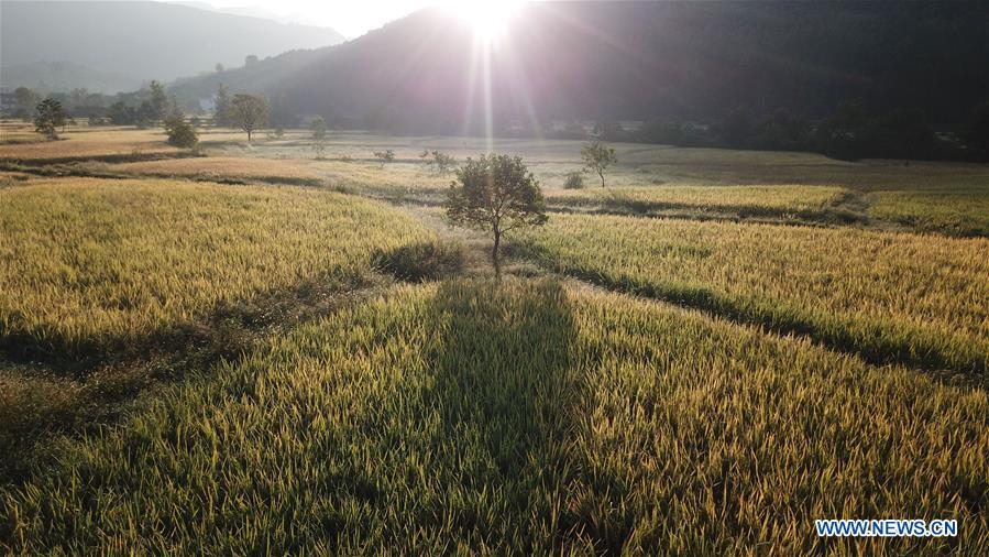 CHINA-ANHUI-YIXIAN-AUTUMN SCENERY (CN)