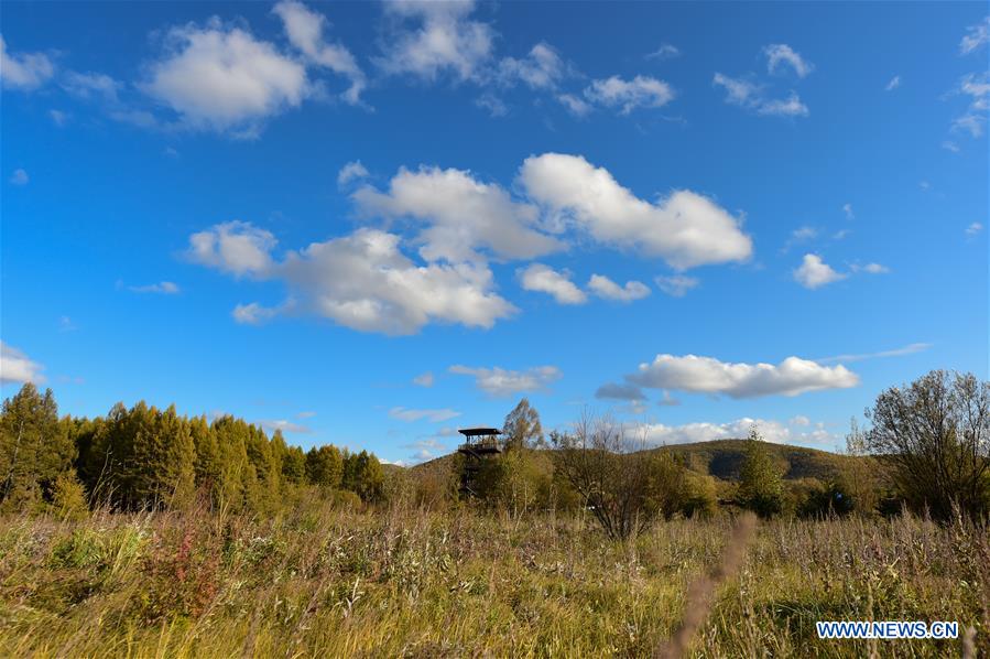 CHINA-INNER MONGOLIA-WETLAND PARK-AUTUMN SCENERY (CN)