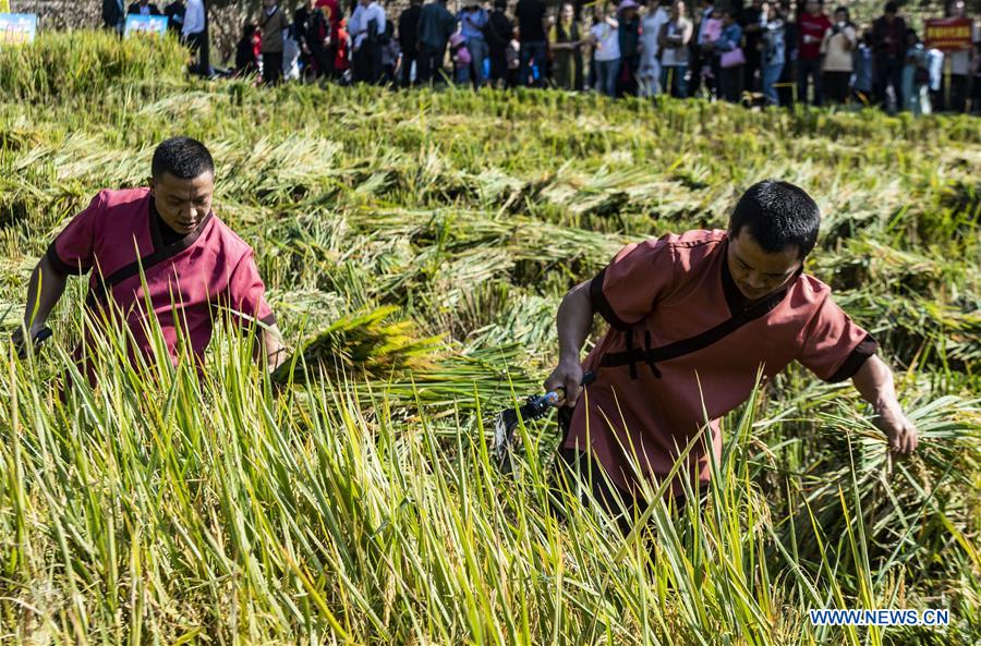 #CHINA-HARVEST FESTIVAL-CELEBRATION (CN)