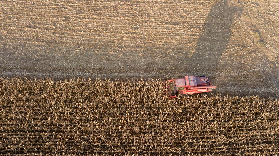 CHINA-JILIN-AUTUMN HARVEST (CN)