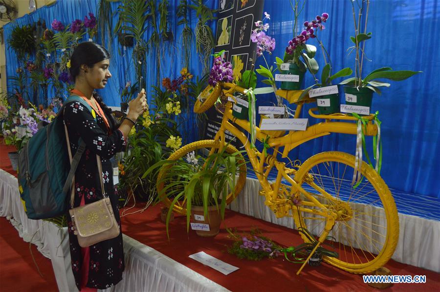 INDIA-BANGALORE-ORCHID SHOW