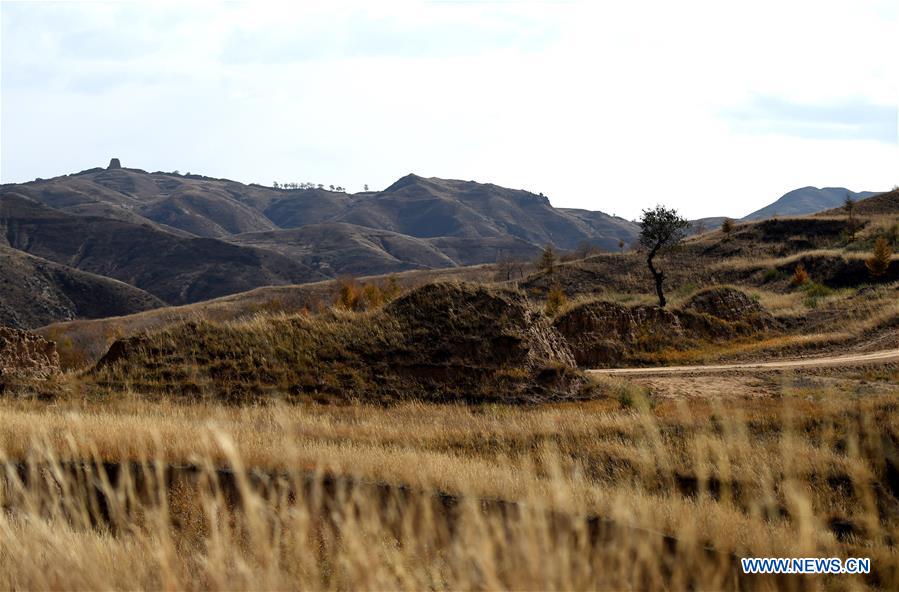 CHINA-INNER MONGOLIA-HORINGER COUNTY-AUTUMN SCENERY (CN)