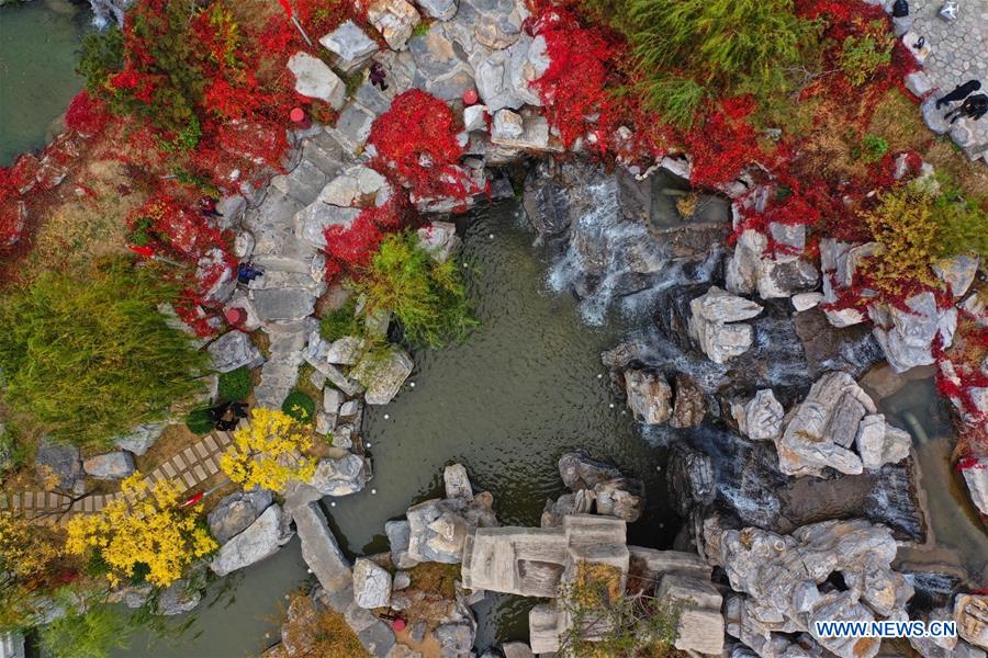 CHINA-HEBEI-TANGSHAN-NANHU PARK-AUTUMN SCENERY (CN)