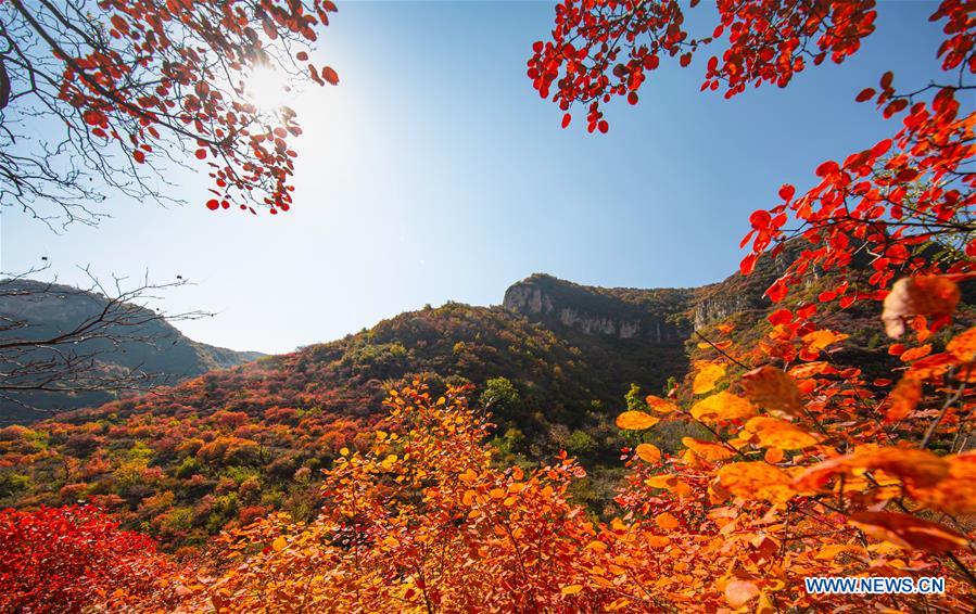 CHINA-HEBEI-TAIHANG MOUNTAINS-SCENERY (CN)