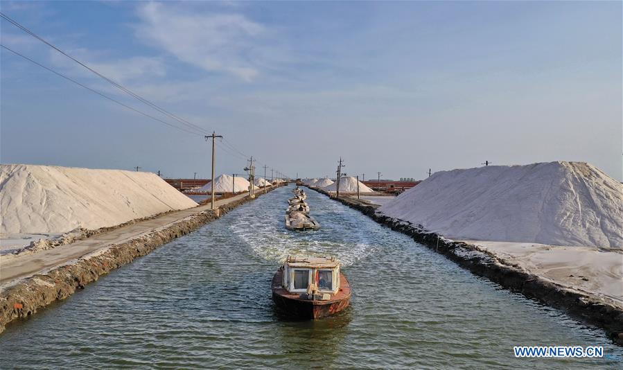 CHINA-HEBEI-CAOFEIDIAN-SALT PAN-AUTUMN-HARVEST (CN)