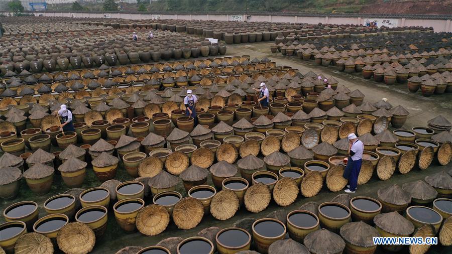 CHINA-GUIZHOU-VINEGAR MAKING (CN)