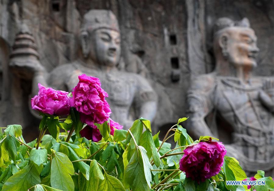 CHINA-HENAN-LONGMEN GROTTOES (CN)