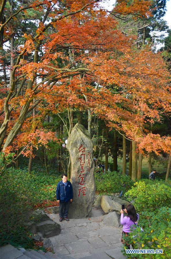 CHINA-JIANGXI-LUSHAN-MAPLE LEAVES (CN)