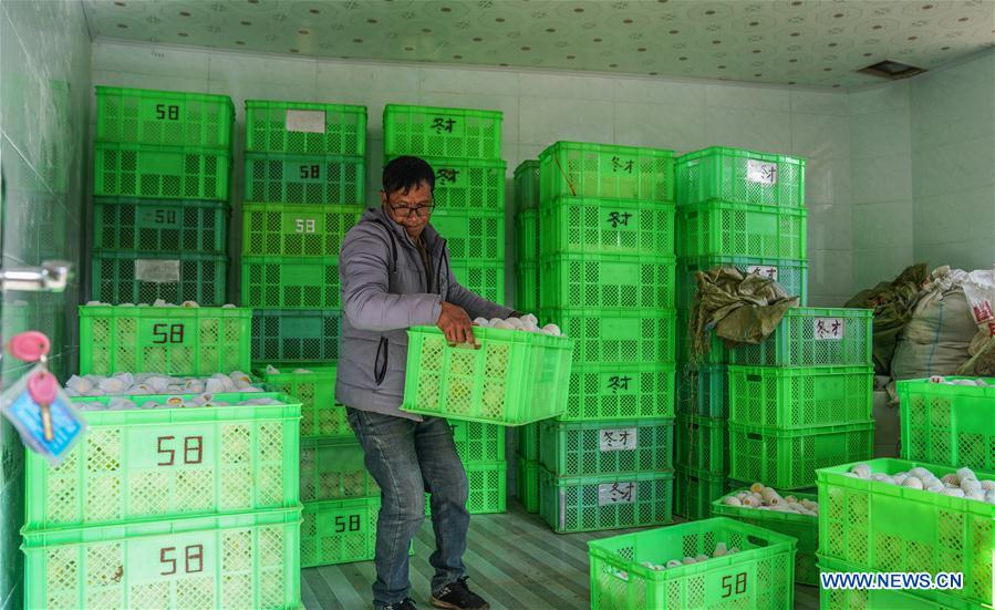 CHINA-YUNNAN-POVERTY ALLEVIATION-PEPINO MELON-INDUSTRY (CN)