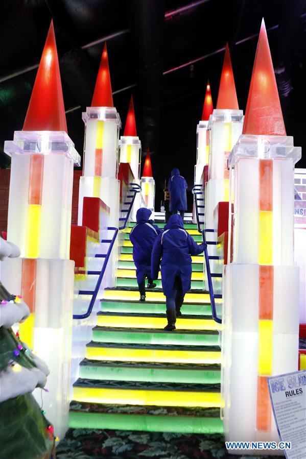 U.S.-TEXAS-GALVESTON-ICE SCULPTURE EXHIBITION